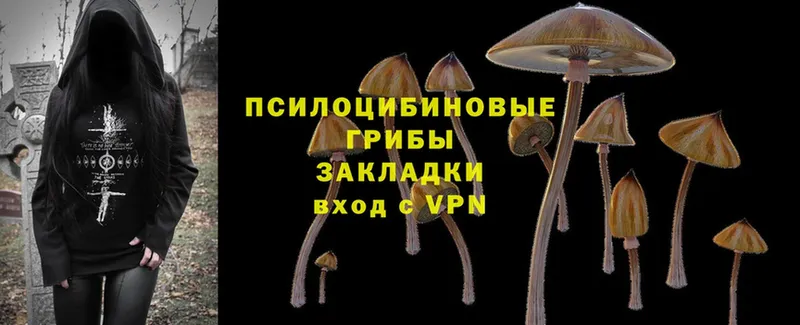 Псилоцибиновые грибы Magic Shrooms Красногорск